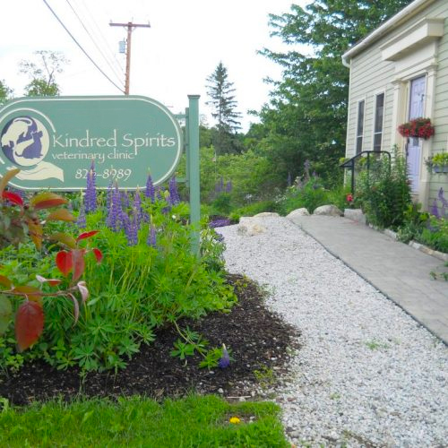 Kindred Spirits Veterinary Clinic Signage