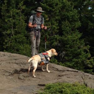 dog climbing mountain